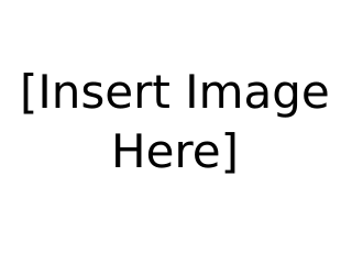 Add text here
